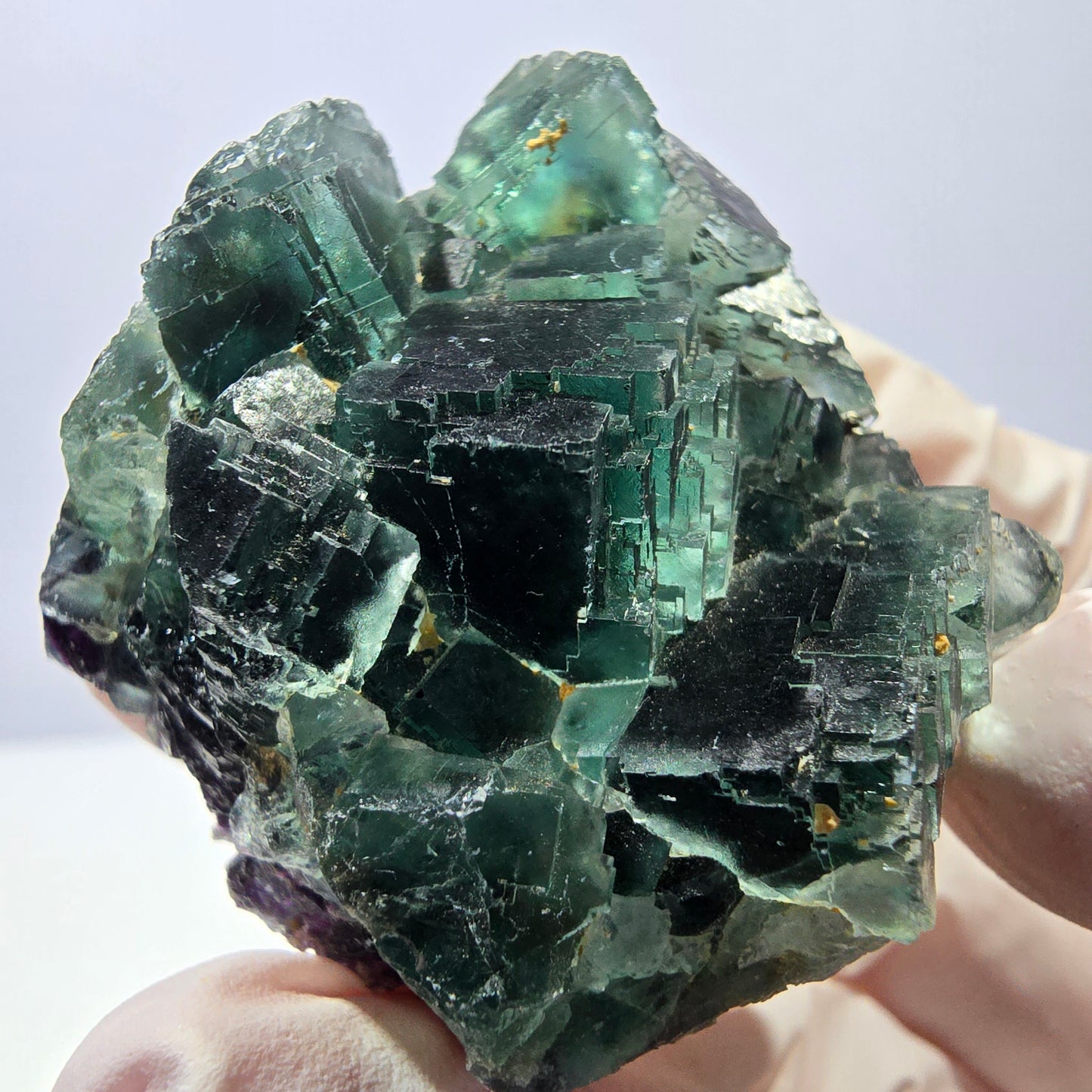Spécimen de cube de fluorite fantôme parqueté vert violet Okorusu, Namibie 42*38*24mm