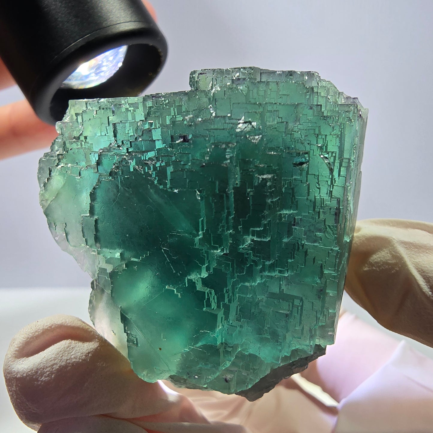 Spécimen de cube de fluorite fantôme transparente, vert parqueté, Okorusu, Namibie, 60 x 44 x 40 mm