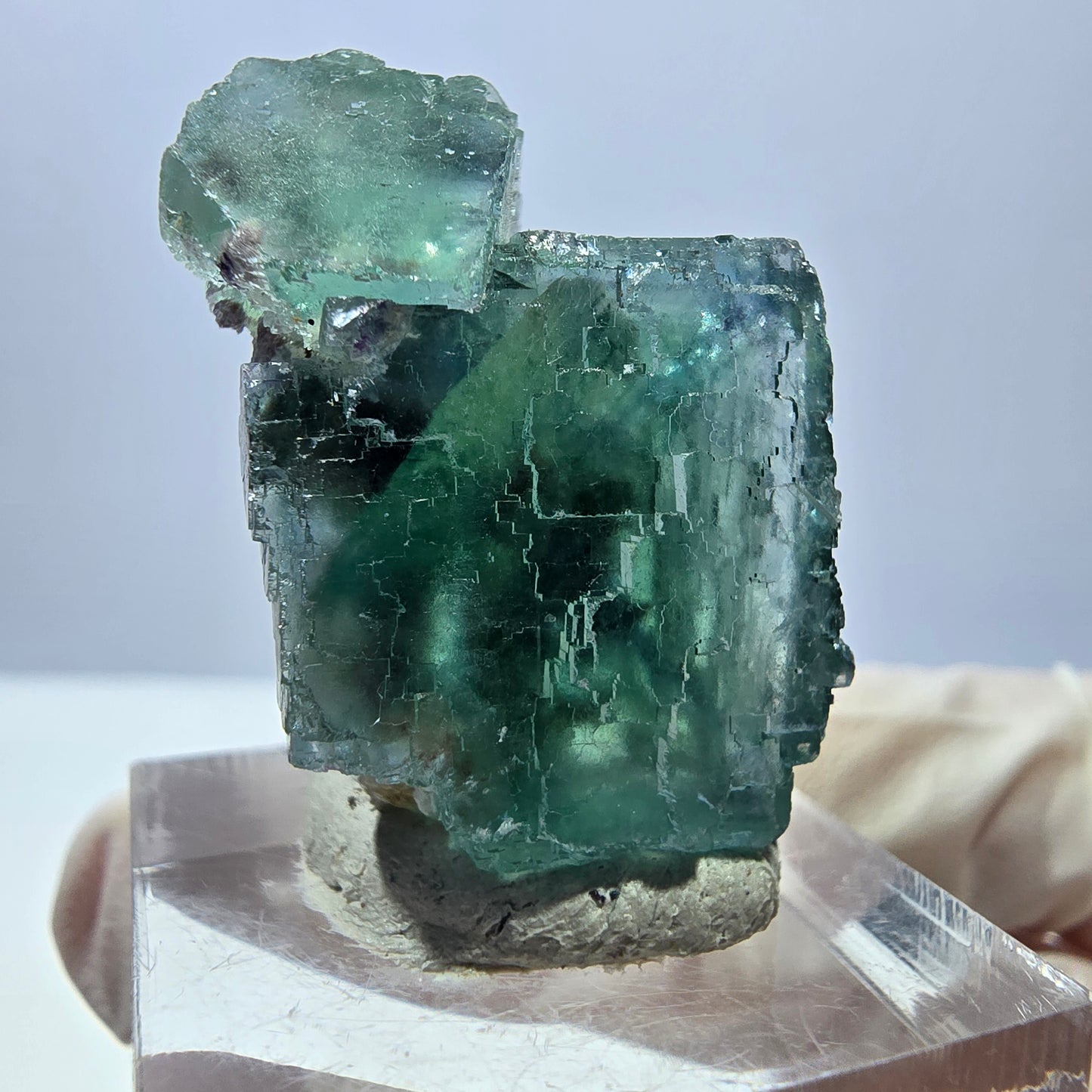 Spécimen de cube de fluorite fantôme, parquet vert Okorusu, Namibie 29 x 22 x 19 mm