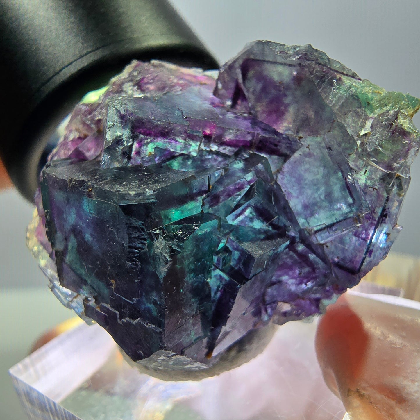 Seltene Fluorit Würfel Stufe, grün lila Okorusu, Namibia 31*27*19mm