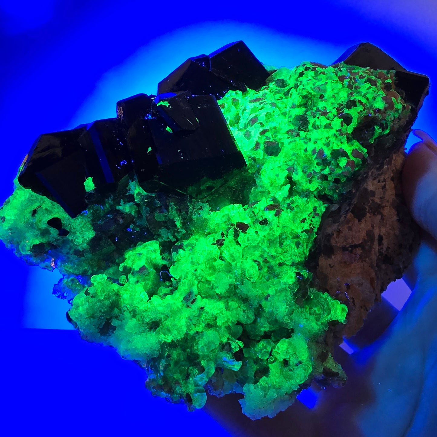 Grand spécimen de tourmaline Schorl, hyalite, quartz fumé et orthose, Erongo, Namibie, 123 x 92 x 47 mm