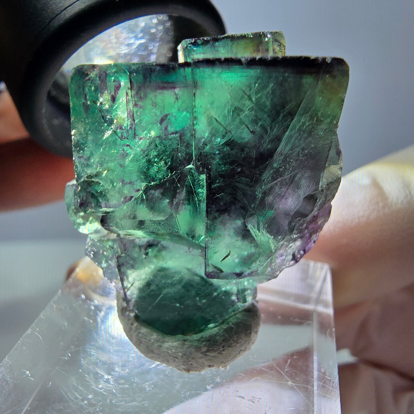 Spécimen de cube de fluorite fantôme, parqueté vert violet Okorusu, Namibie 30*26*17 mm