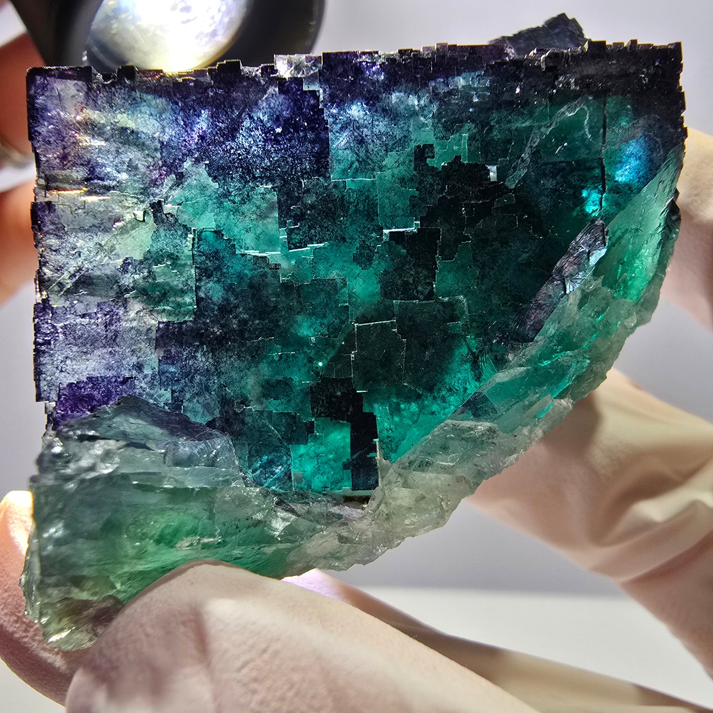 Spécimen de cube de fluorite fantôme parqueté vert violet Okorusu, Namibie 71*36*21mm