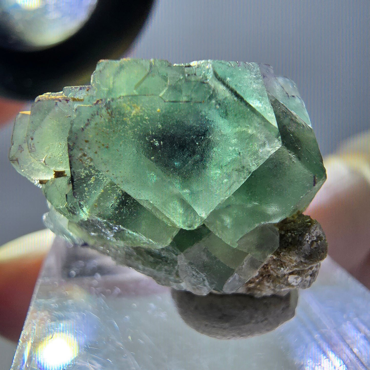 Phantom Fluorit Würfel, Muskovit Stufe grün lila Erongo, Namibia 23*17*16mm
