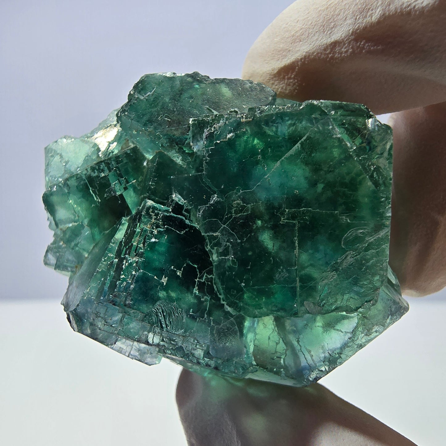 Spécimen de cube de fluorite fantôme transparente, vert parqueté, Okorusu, Namibie, 48 x 36 x 21 mm