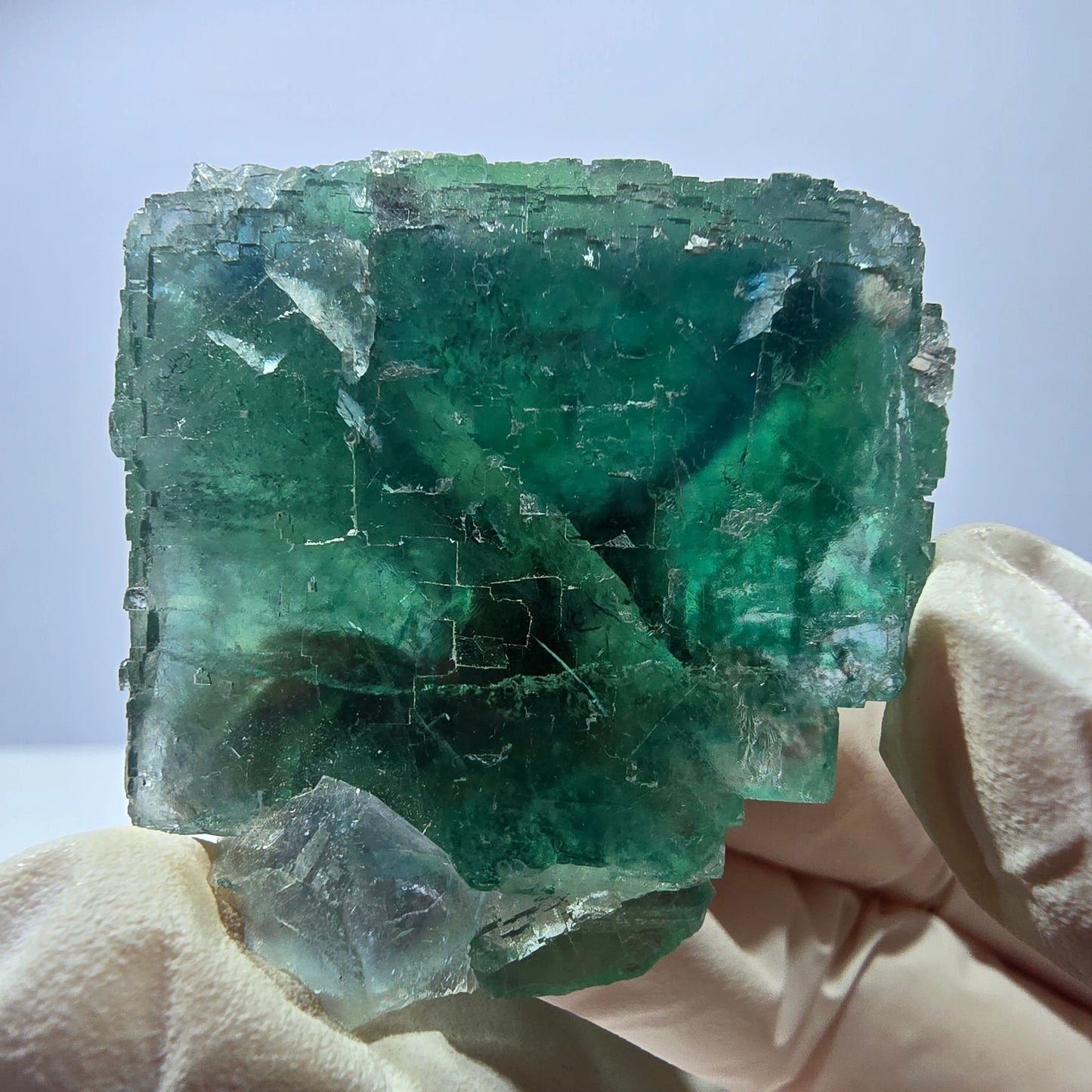Spécimen de cube de fluorite fantôme transparente, vert parqueté, Okorusu, Namibie, 44 x 37 x 27 mm