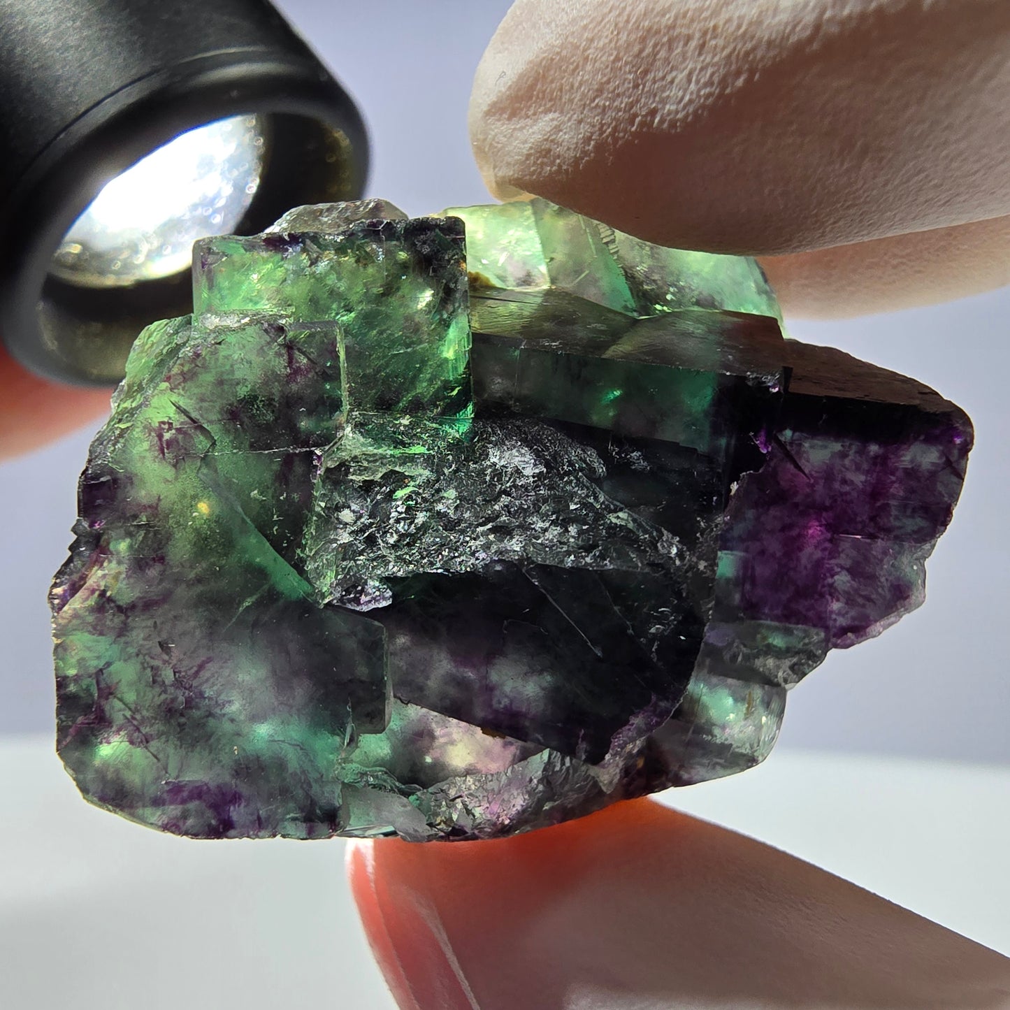 Spécimen de cube de fluorite fantôme parqueté vert violet Okorusu, Namibie 41*30*18mm