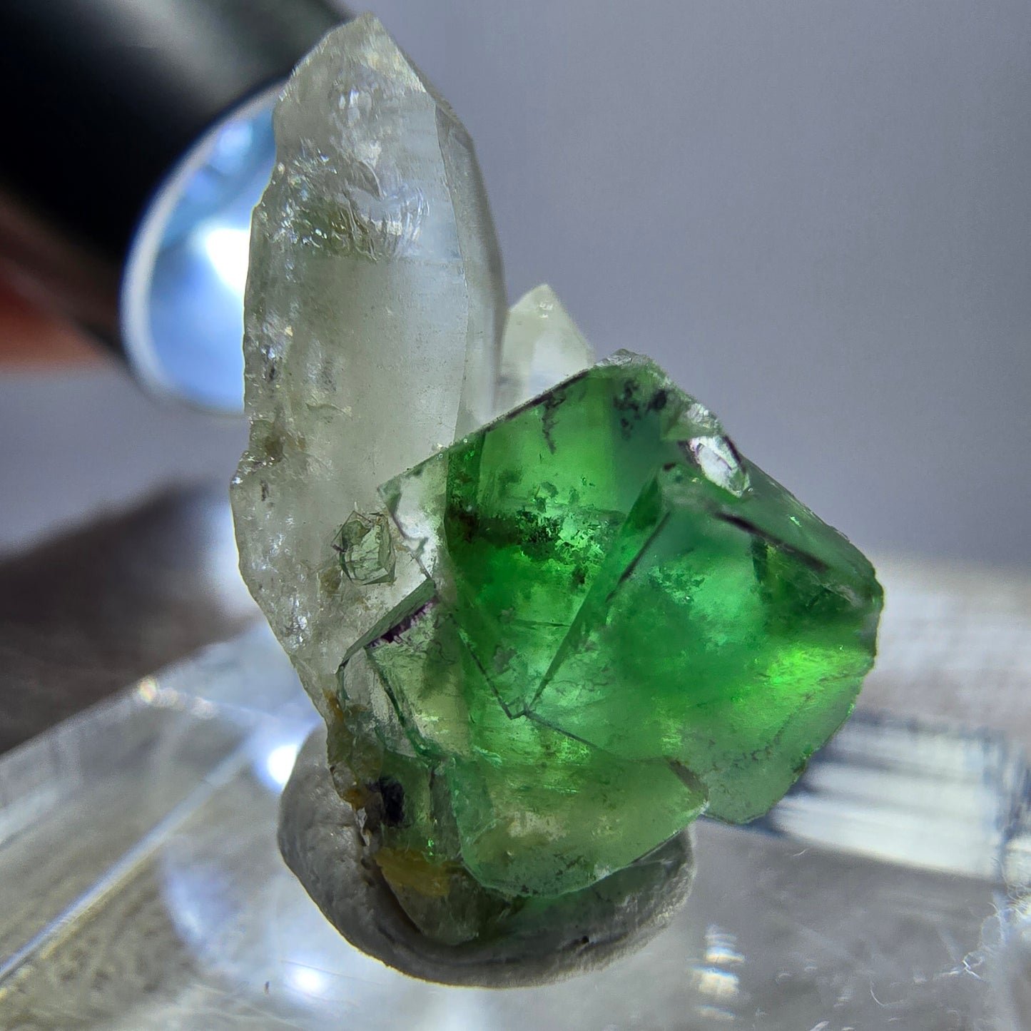 Cube de fluorite fantôme, spécimen de quartz fumé, Erongo, Namibie, 19 x 10 x 12 mm