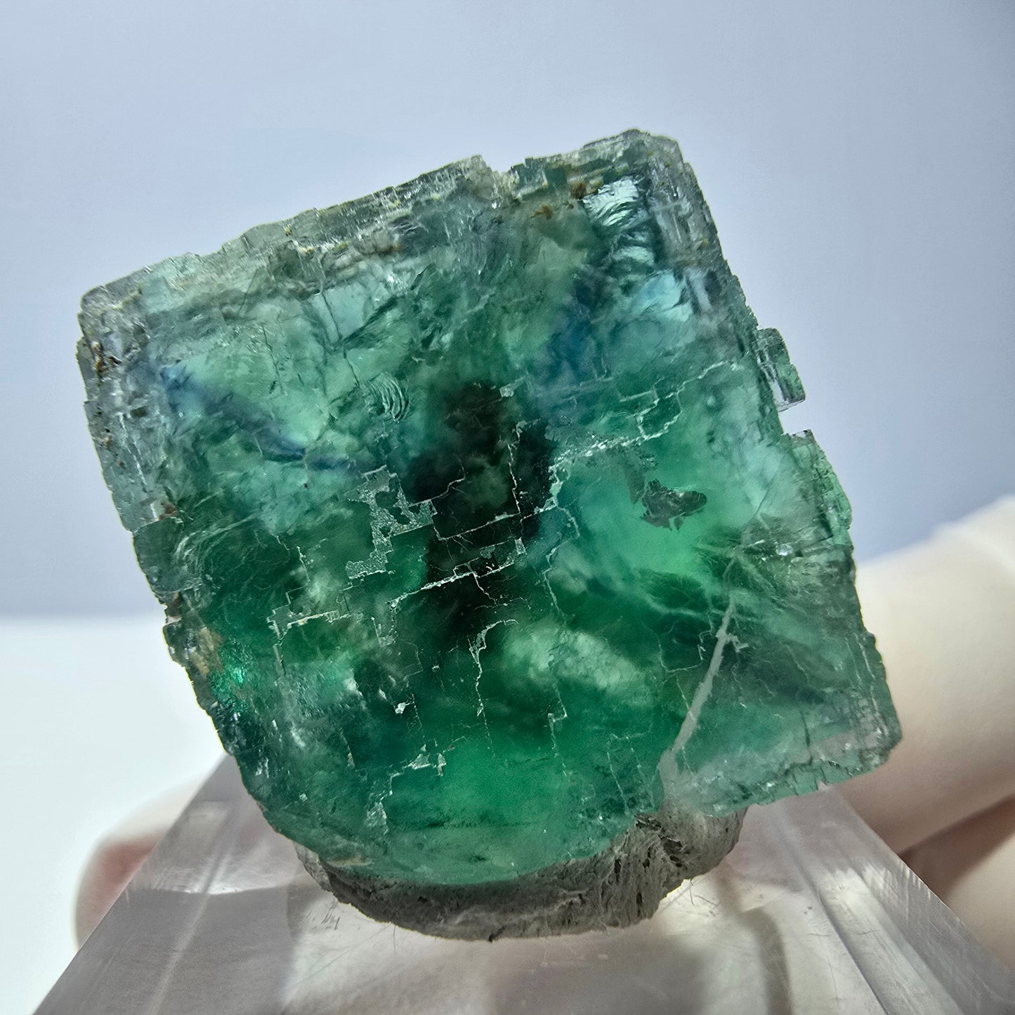 Cube de fluorite fantôme transparente parquetée, vert Okorusu, Namibie 23*23*22mm