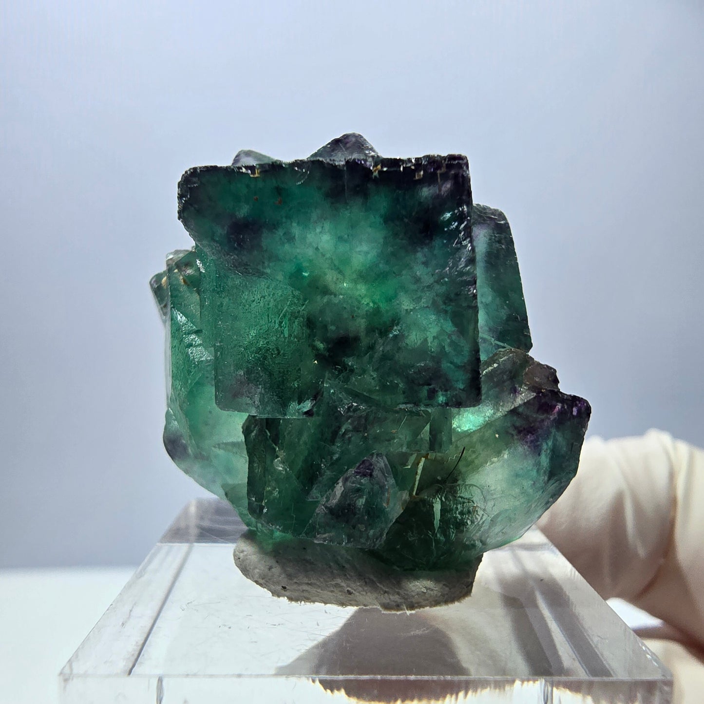 Rare spécimen de cube de fluorite, vert-violet, Okorusu, Namibie, 33 x 26 x 22 mm