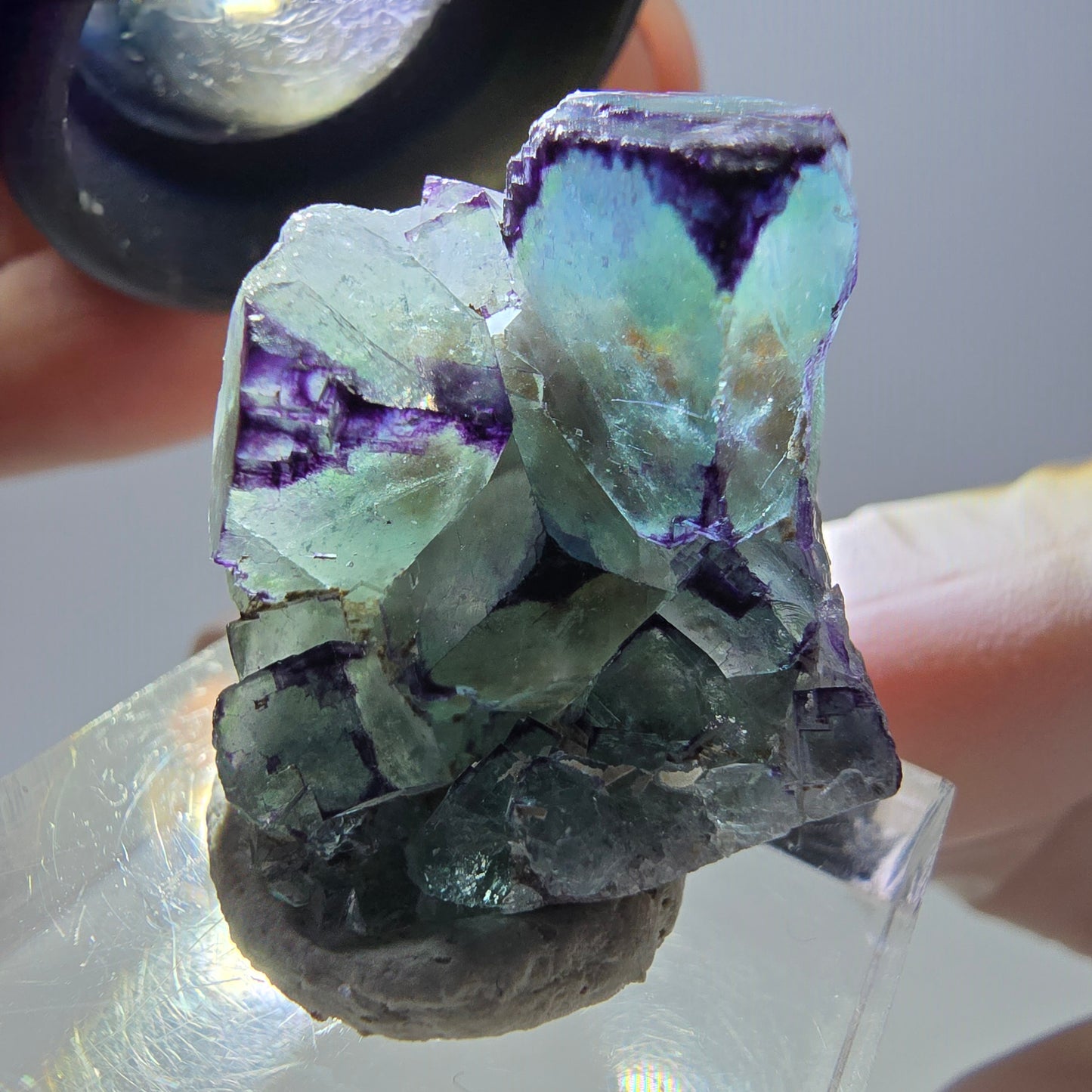 Phantom Fluorit Würfel Stufe, parkettiert, zonal Okorusu, Namibia 28*24*18mm