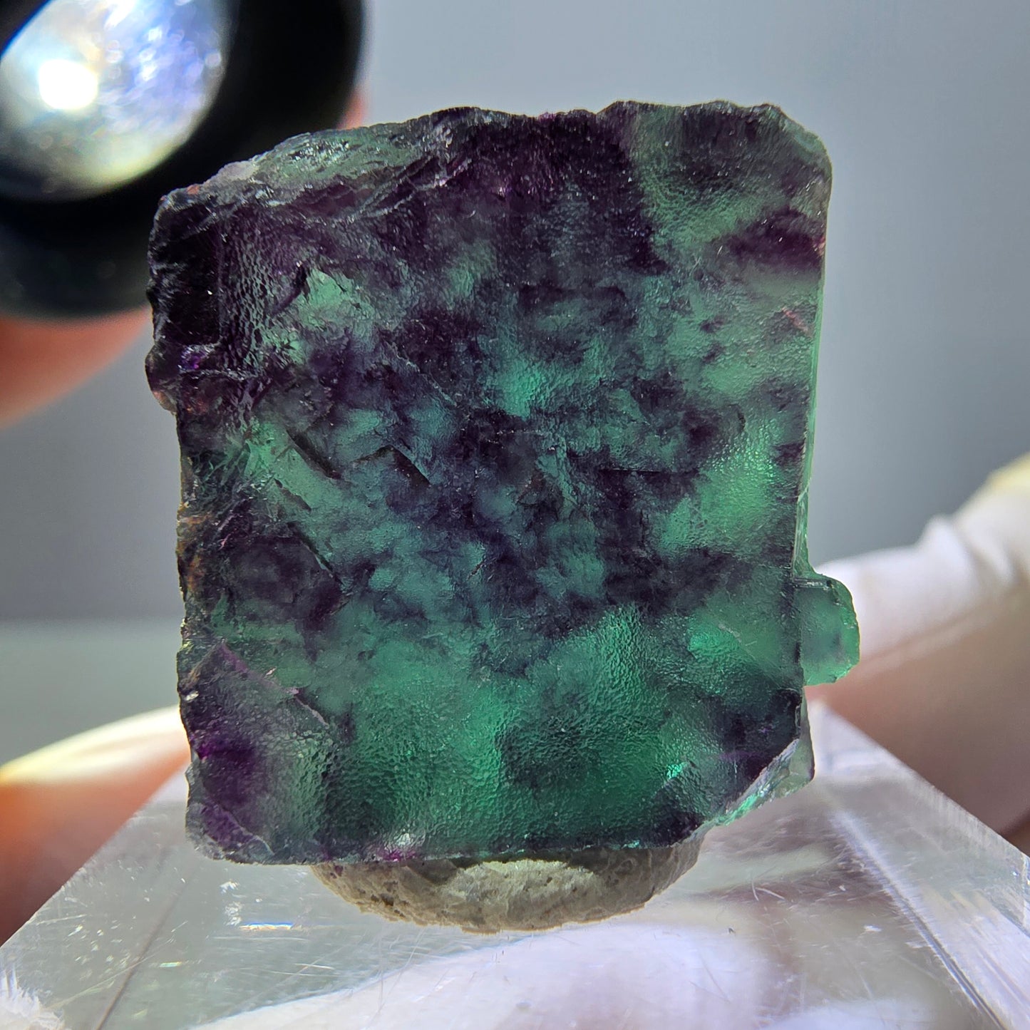 Phantom Fluorit Würfel Stufe, parkettiert grün lila Okorusu, Namibia 21*19*14mm