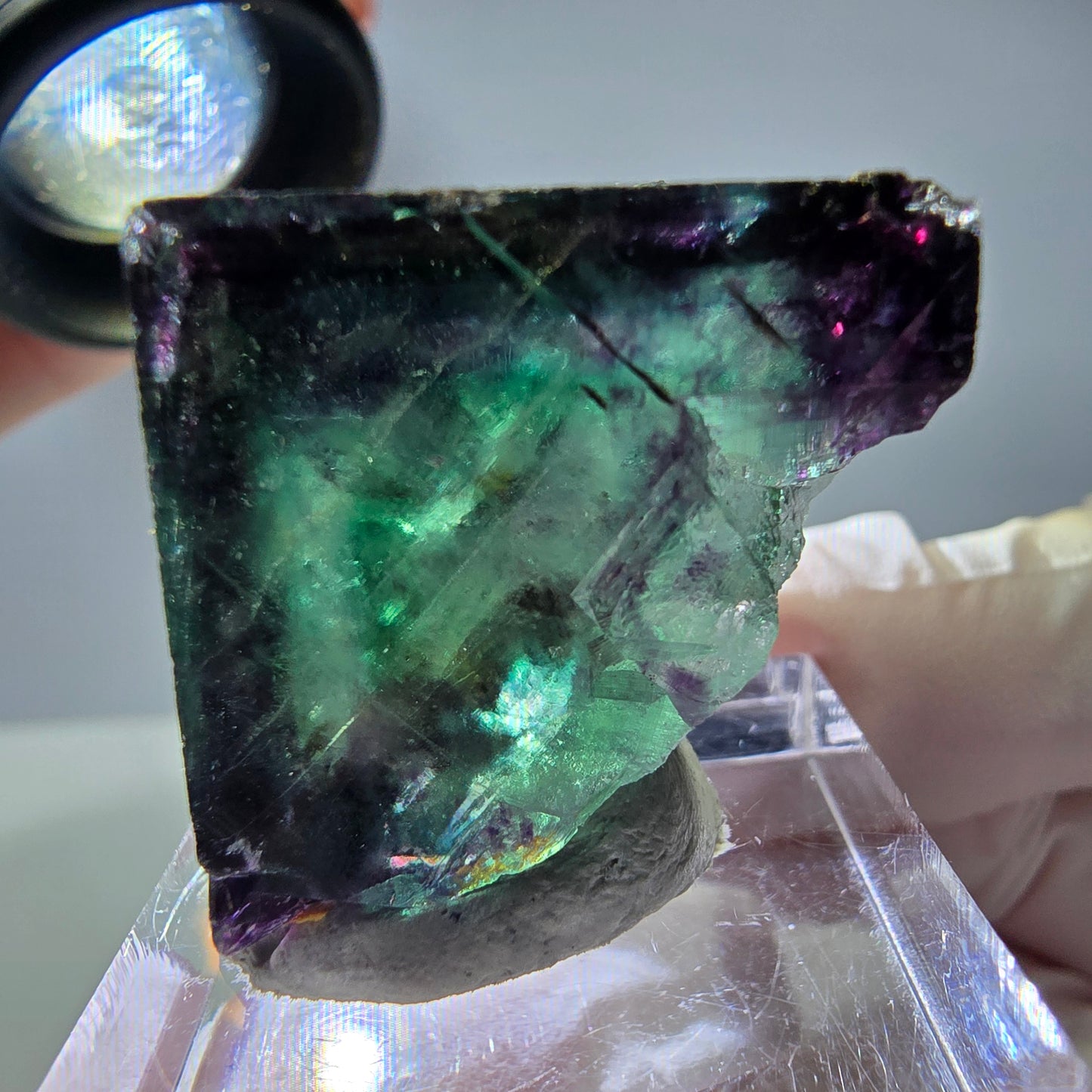 Rare cube de fluorite fantôme parqueté vert violet Okorusu Namibie 24*24*24mm