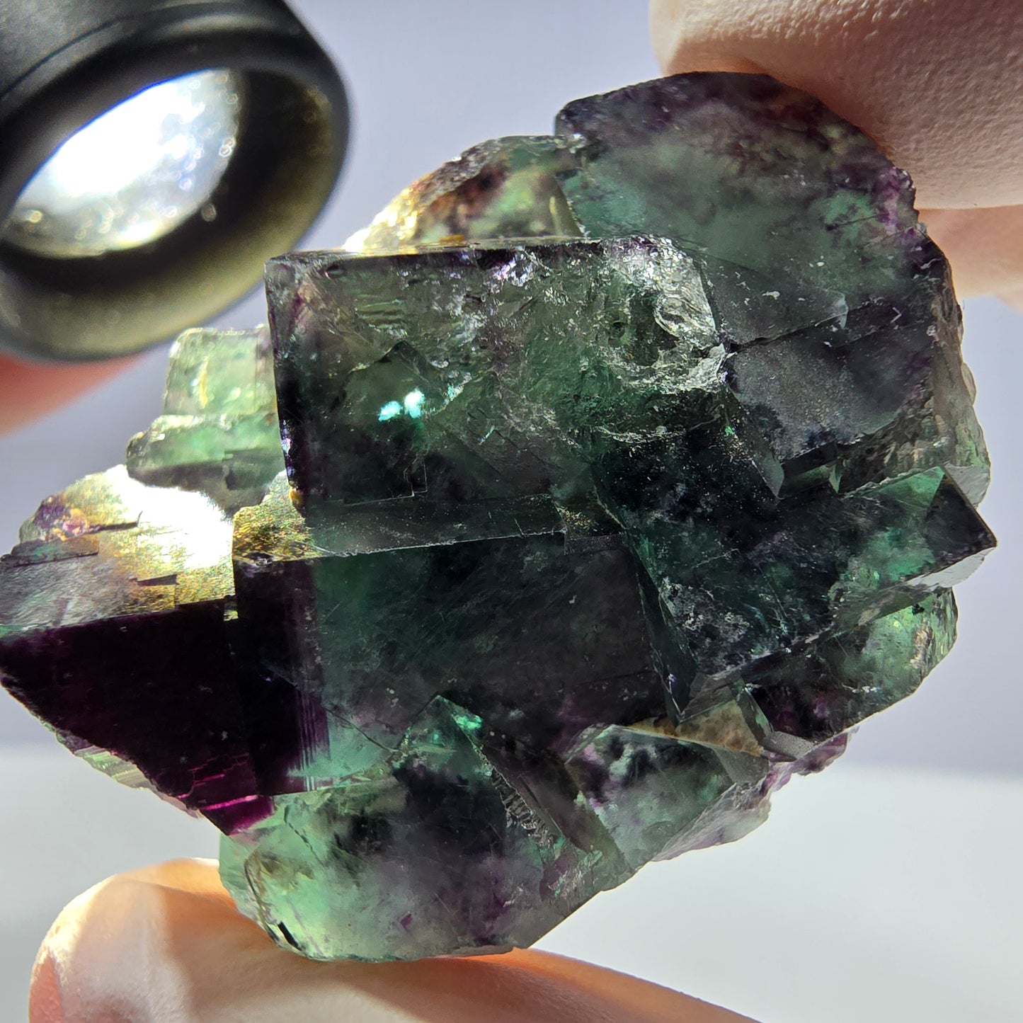 Spécimen de cube de fluorite fantôme parqueté vert violet Okorusu, Namibie 41*30*18mm