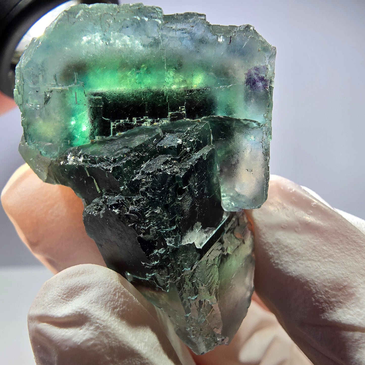 Spécimen de cube de fluorite fantôme parqueté vert violet Okorusu, Namibie 40*29*21mm