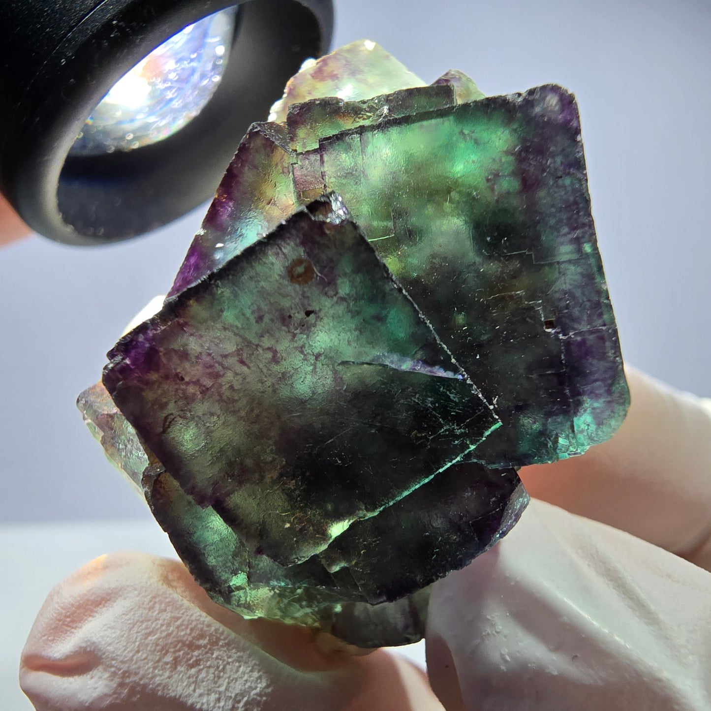 Spécimen de cube de fluorite fantôme parqueté vert violet Okorusu, Namibie 40*36*26 mm