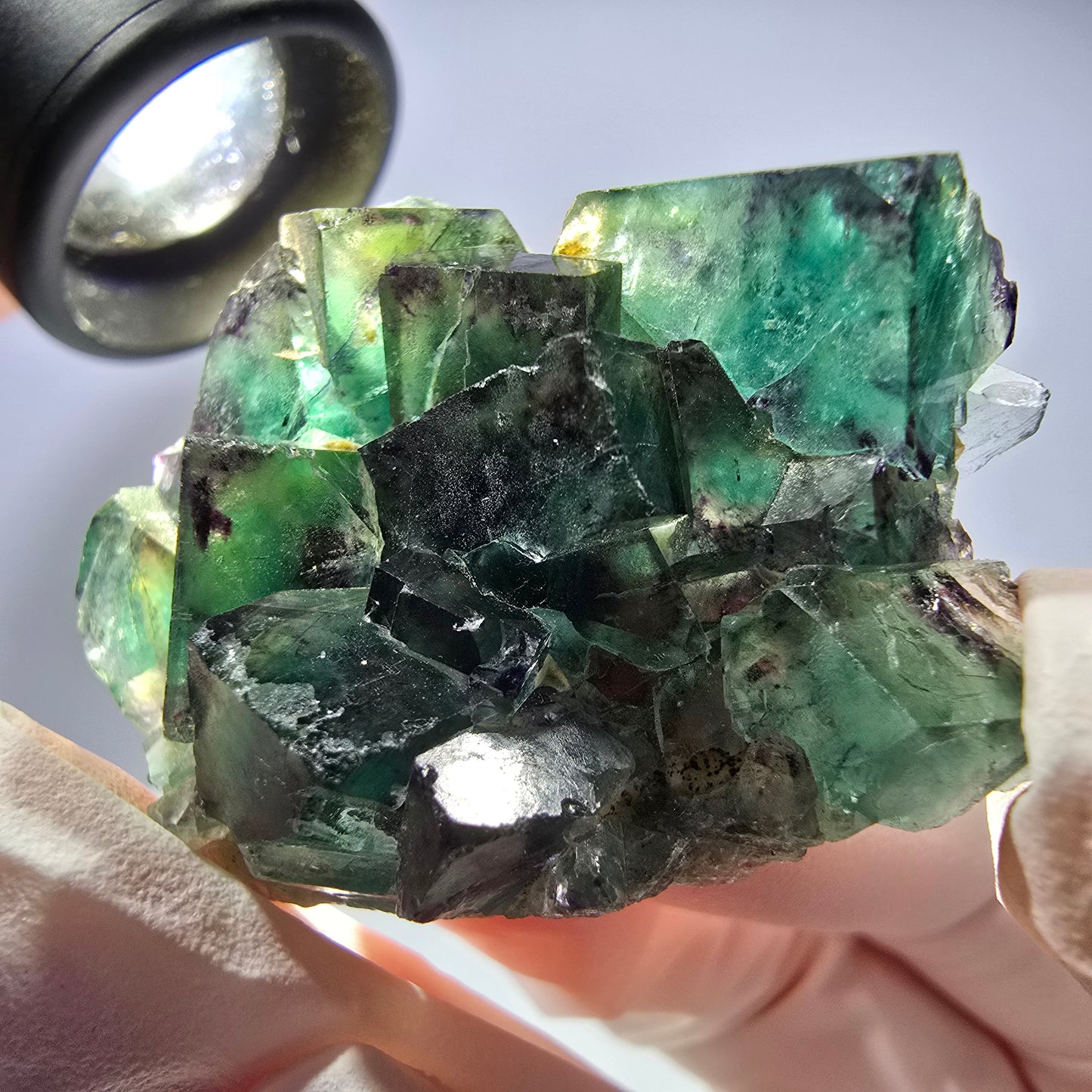 Spécimen de cube de fluorite fantôme parqueté vert violet Okorusu, Namibie 42*33*14 mm