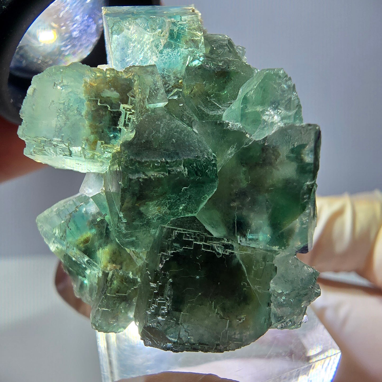 Phantom Fluorit Würfel, parkettiert, Quarz Stufe Okorusu, Namibia 42*30*26mm