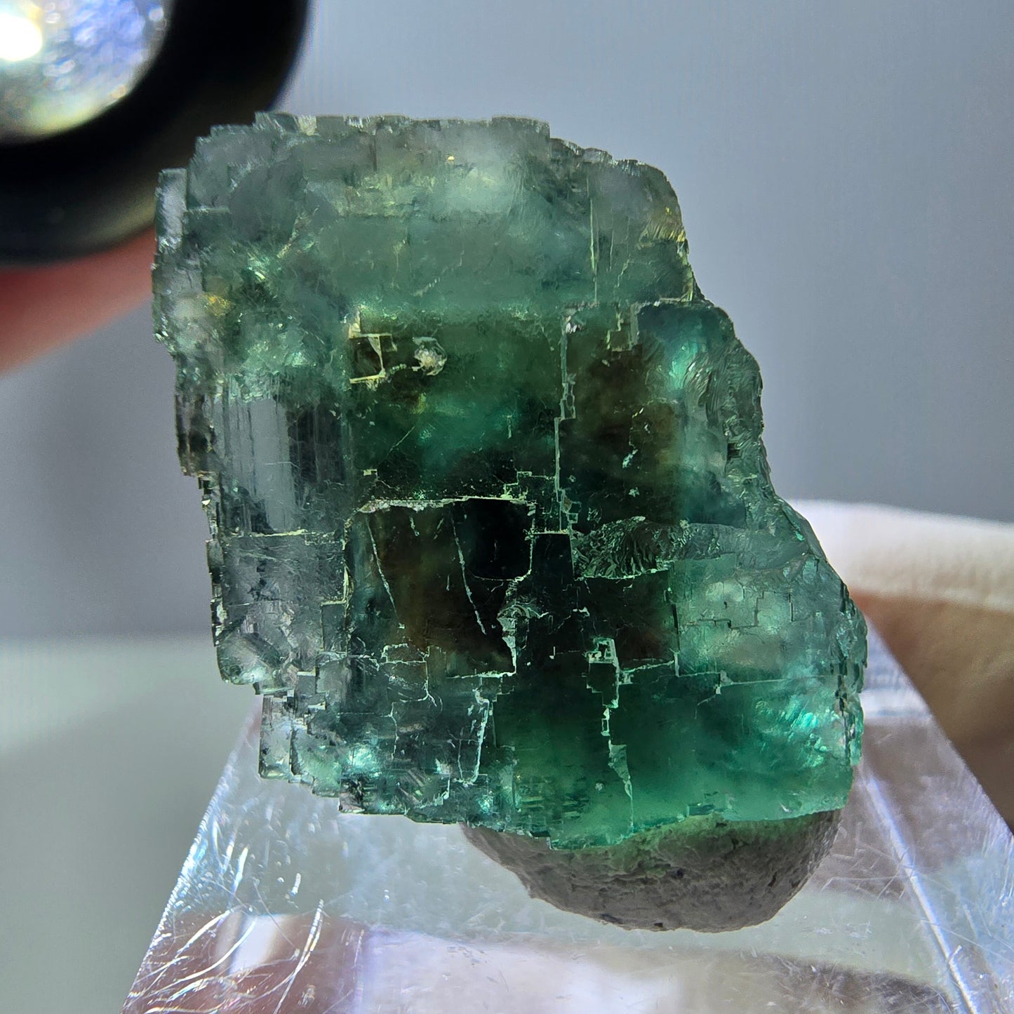 Phantom Fluorit Würfel Stufe, grün parkettiert Okorusu, Namibia 21*20*17mm