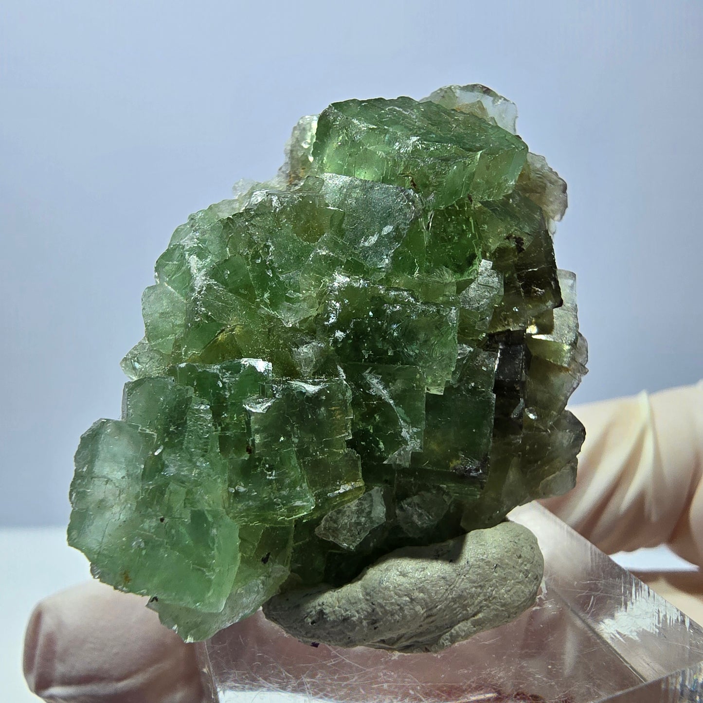 Rare spécimen de cube de fluorite fantôme, vert Okorusu, Namibie 45 x 33 x 17 mm