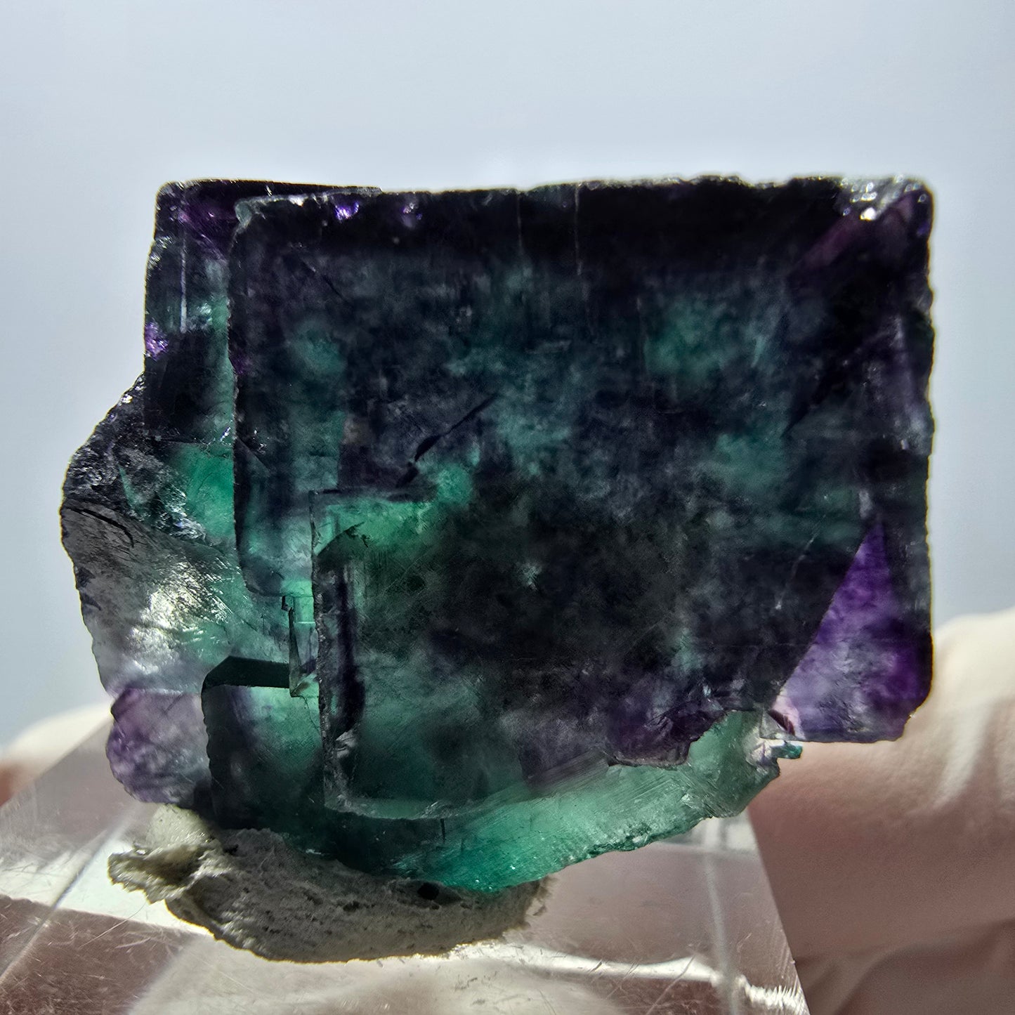 Spécimen de cube de fluorite fantôme, parqueté vert violet Okorusu, Namibie 28*24*22 mm