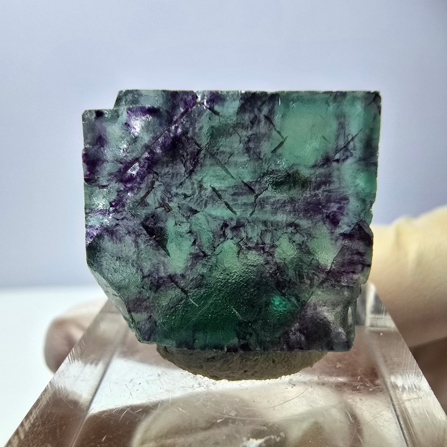 Phantom Fluorit Würfel parkettiert, grün lila Okorusu, Namibia 21*19*8mm