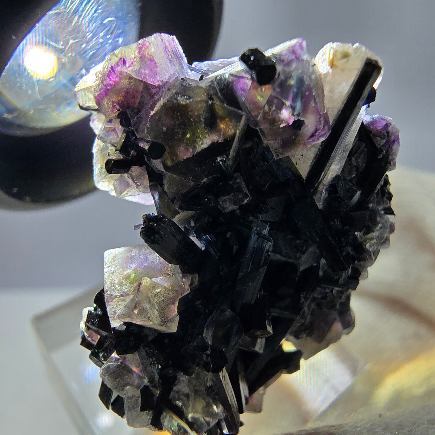 Spécimen de fluorite fantôme colorée, tourmaline scholle, muscovite, Erongo, Namibie, 28 x 30 x 19 mm