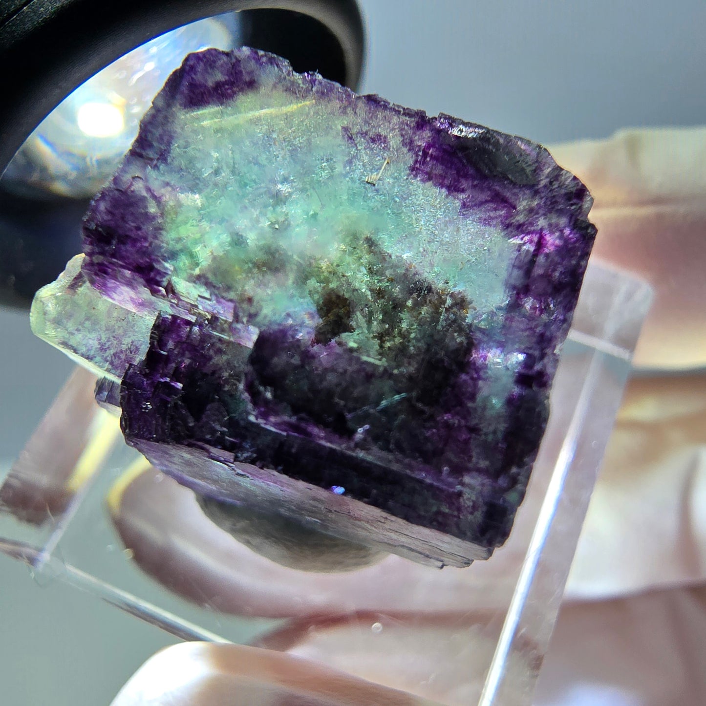 Phantom Fluorit Würfel Stufe, grün lila Okorusu, Namibia 21*20*12mm