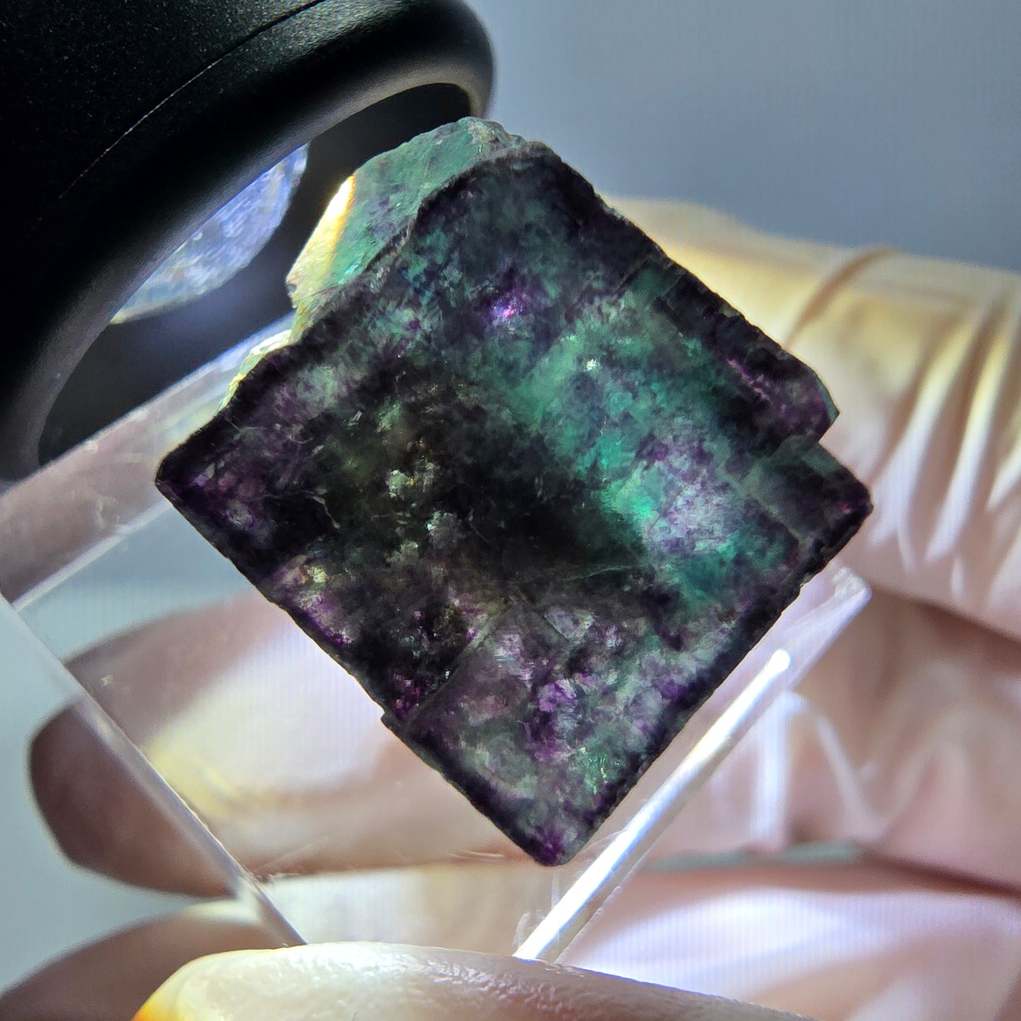 Phantom Fluorit Würfel Stufe, parkettiert grün lila Okorusu, Namibia 21*20*17mm