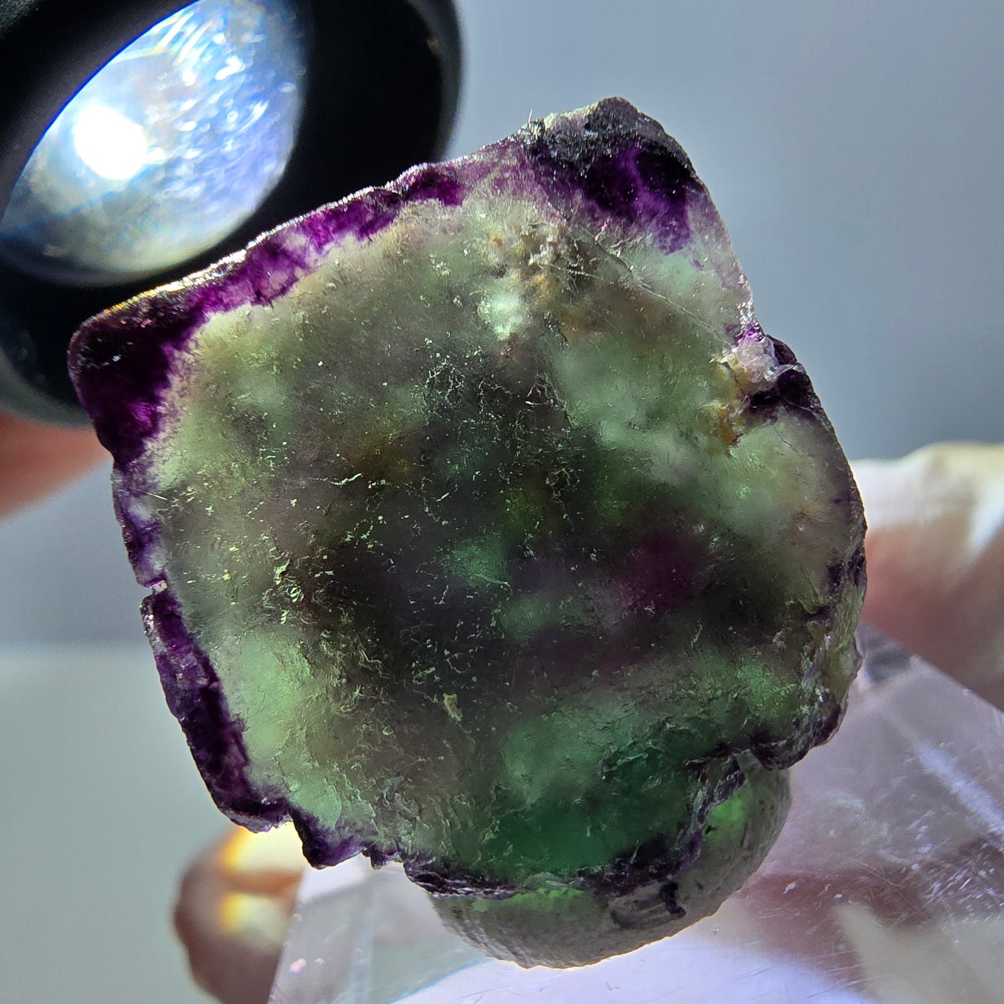 Phantom Fluorit Würfel Stufe, parkettiert, zonal Okorusu, Namibia 24*22*13mm