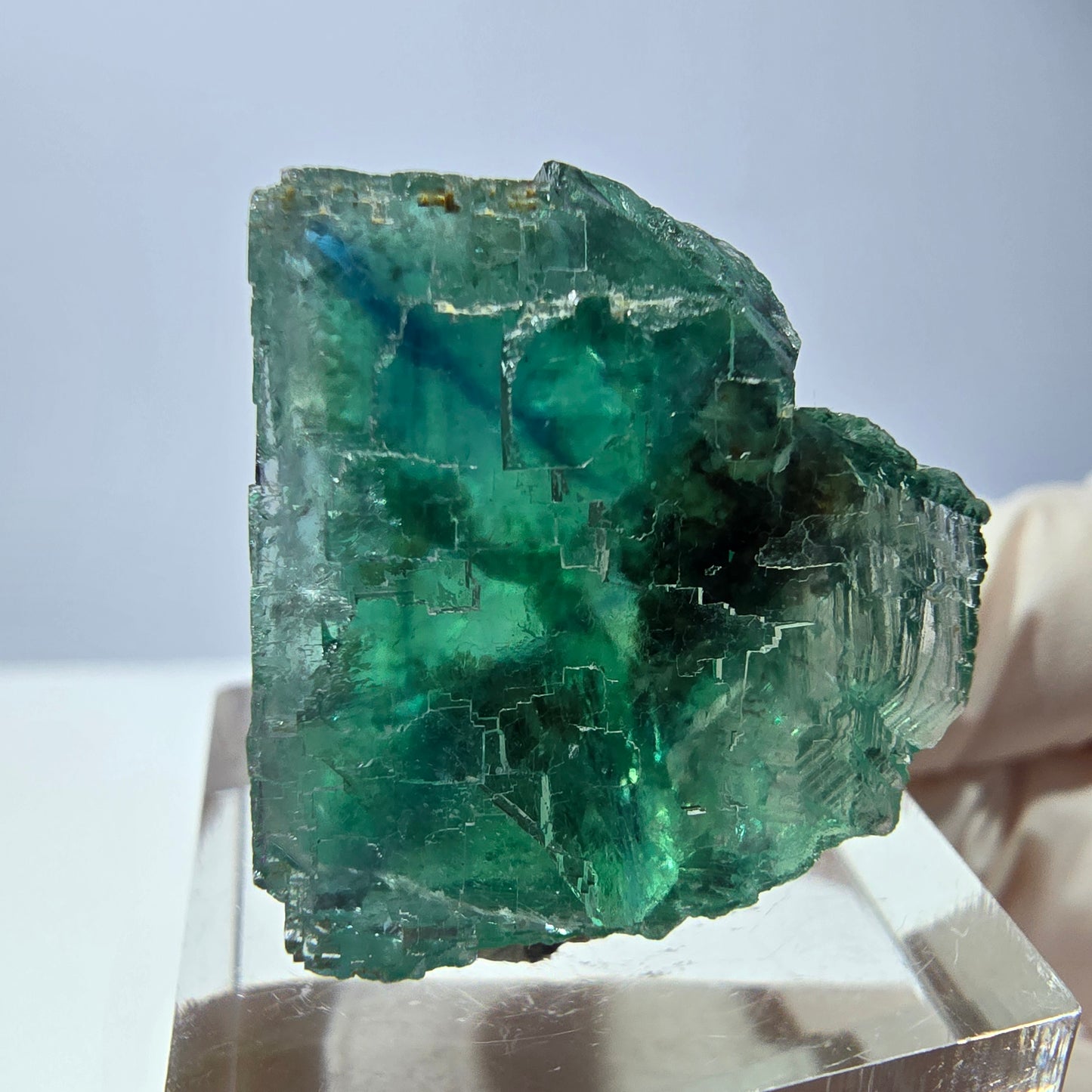 Cube de fluorite fantôme transparente parquetée, vert Okorusu, Namibie 23*23*22mm