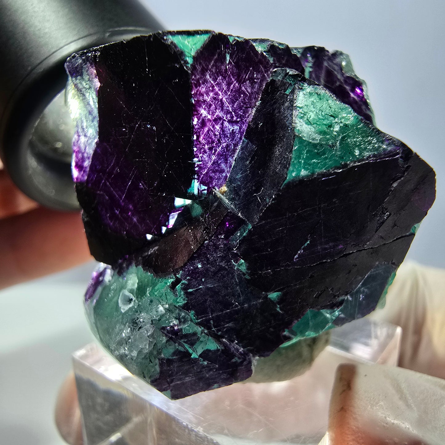 Phantom Fluorit Würfel Stufe grün lila zonal 11:11 Angel Pocket, Namibia 37*33*28mm