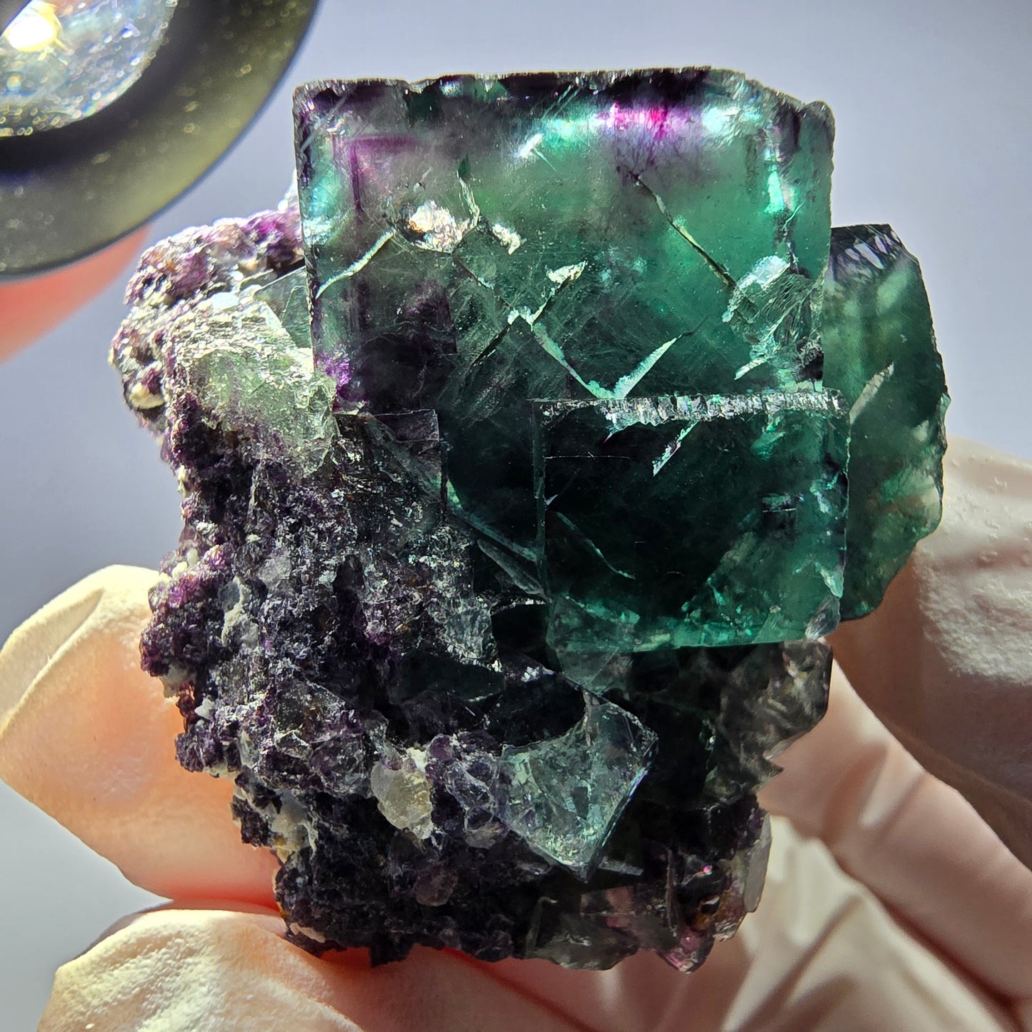 Spécimen de cube de fluorite fantôme parqueté vert violet Okorusu, Namibie 41*34*26mm