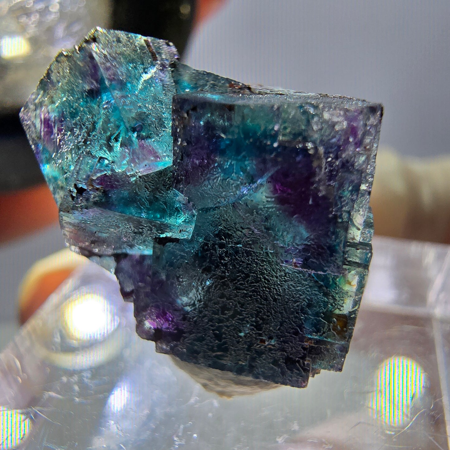 Spécimen de cube de fluorite fantôme, parqueté vert violet Okorusu, Namibie 20 x 15 x 12 mm