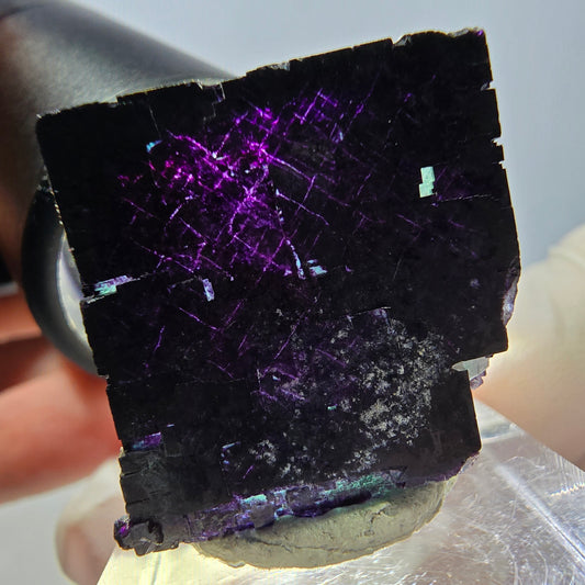 Phantom Fluorit Würfel Stufe grün lila zonal 11:11 Angel Pocket, Namibia 24*22*22mm