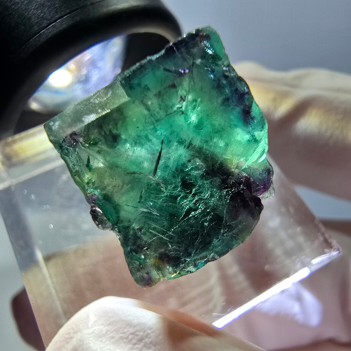 Phantom Fluorit Würfel Stufe, parkettiert grün lila Okorusu, Namibia 14*13*13mm
