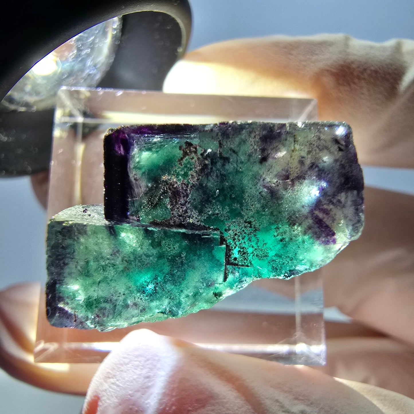 Spécimen de cube de fluorite fantôme, parqueté vert violet Okorusu, Namibie 25*18*14 mm