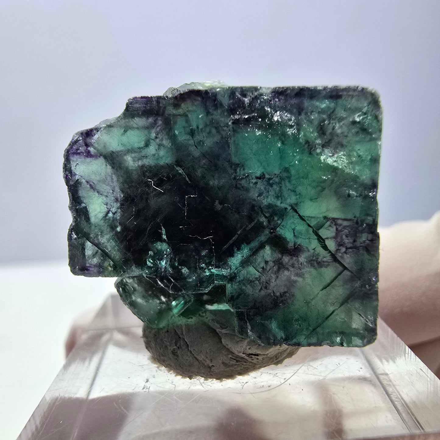 Phantom Fluorit Würfel parkettiert, grün lila Okorusu, Namibia 22*22*11mm