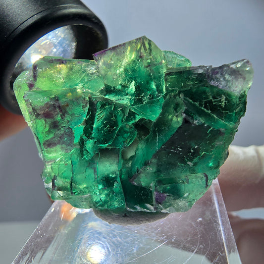Seltene Fluorit Würfel Stufe, grün lila Okorusu, Namibia 37*25*13mm