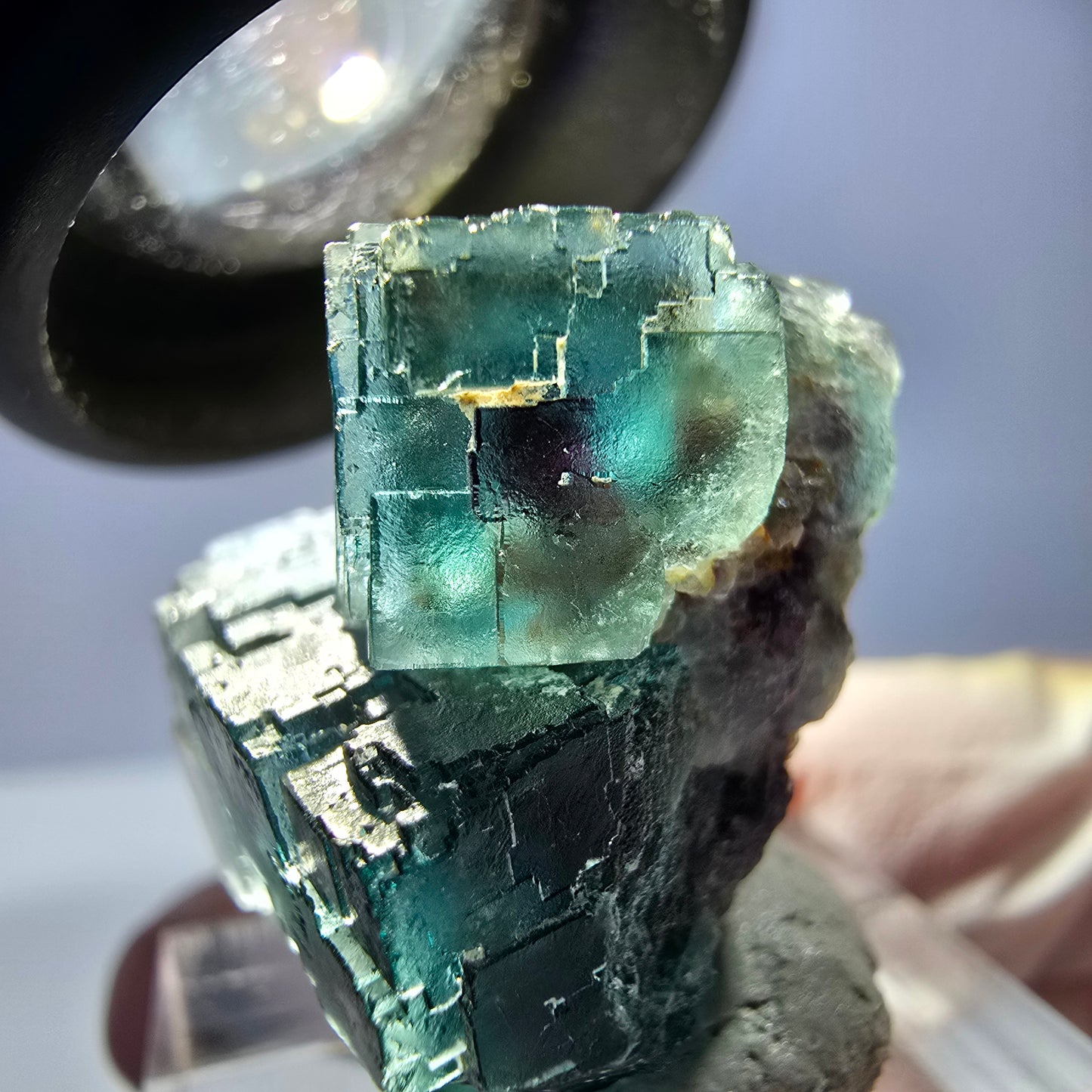 Spécimen de cube de fluorite fantôme, parqueté vert violet Okorusu, Namibie 25*18*18 mm