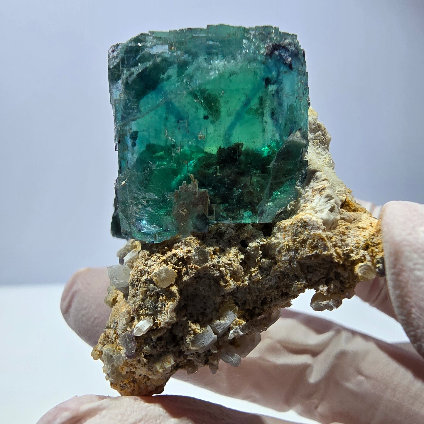 Spécimen de cube de fluorite fantôme, parqueté vert violet Okorusu, Namibie 46*37*36 mm