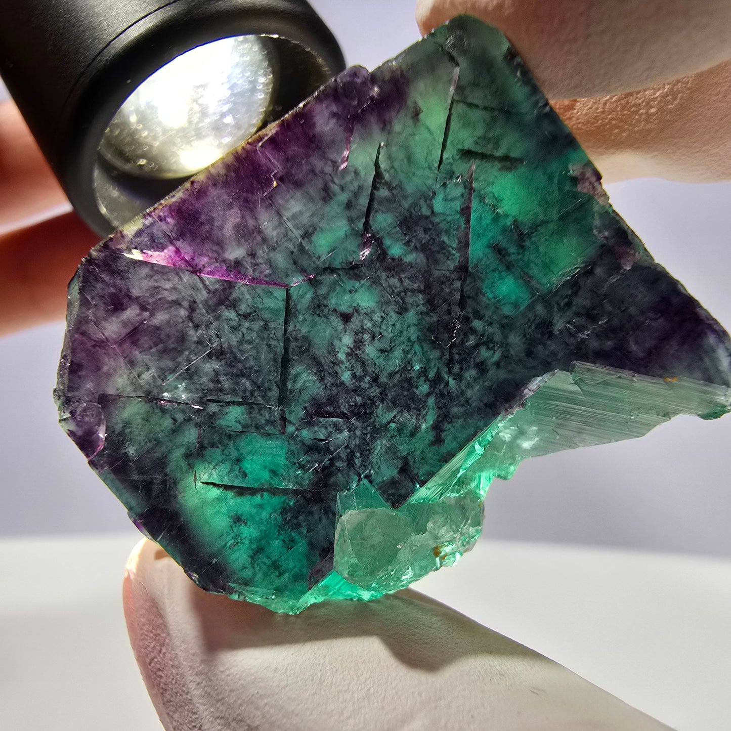 Spécimen de cube de fluorite fantôme parqueté vert violet Okorusu, Namibie 38*29*25 mm