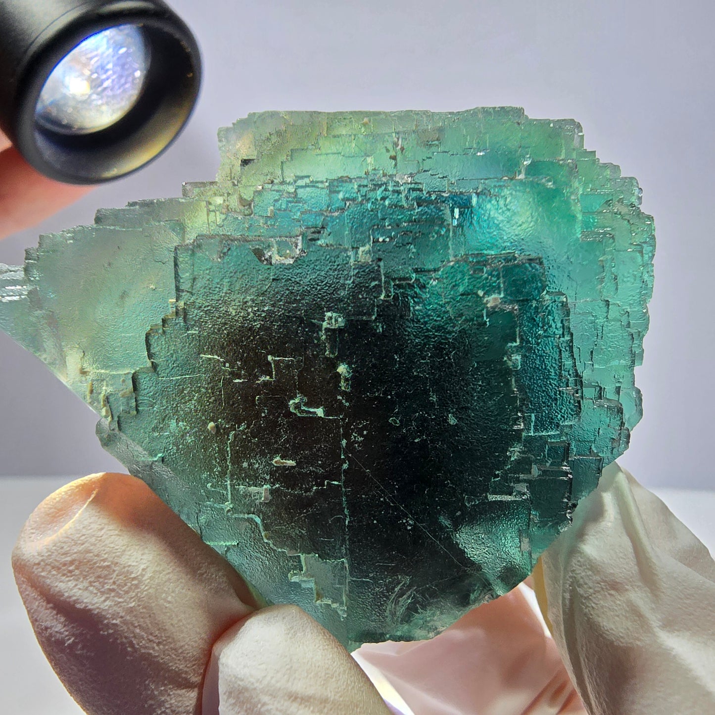 Spécimen de cube de fluorite fantôme transparente, vert parqueté, Okorusu, Namibie, 65 x 46 x 28 mm