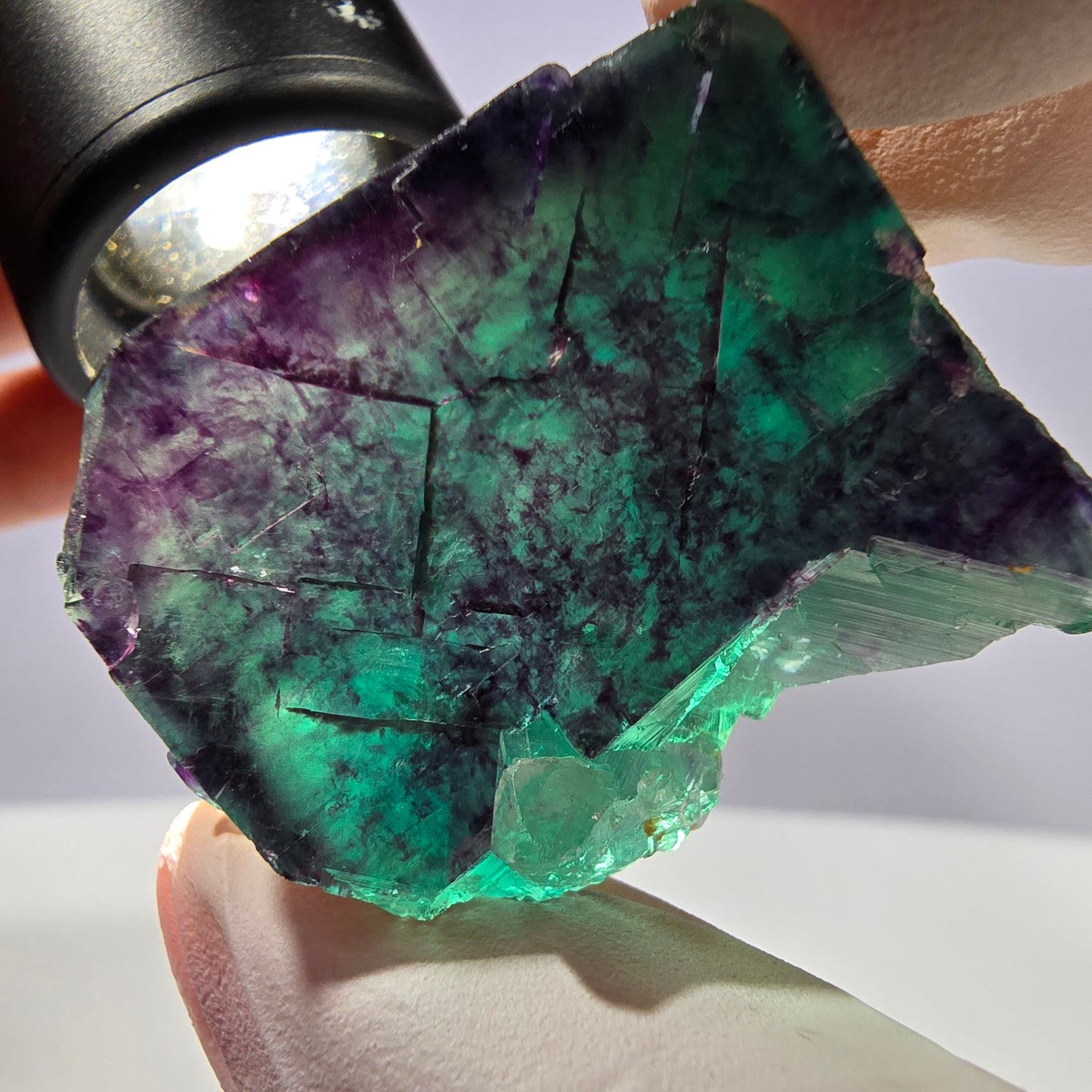 Spécimen de cube de fluorite fantôme parqueté vert violet Okorusu, Namibie 38*29*25 mm