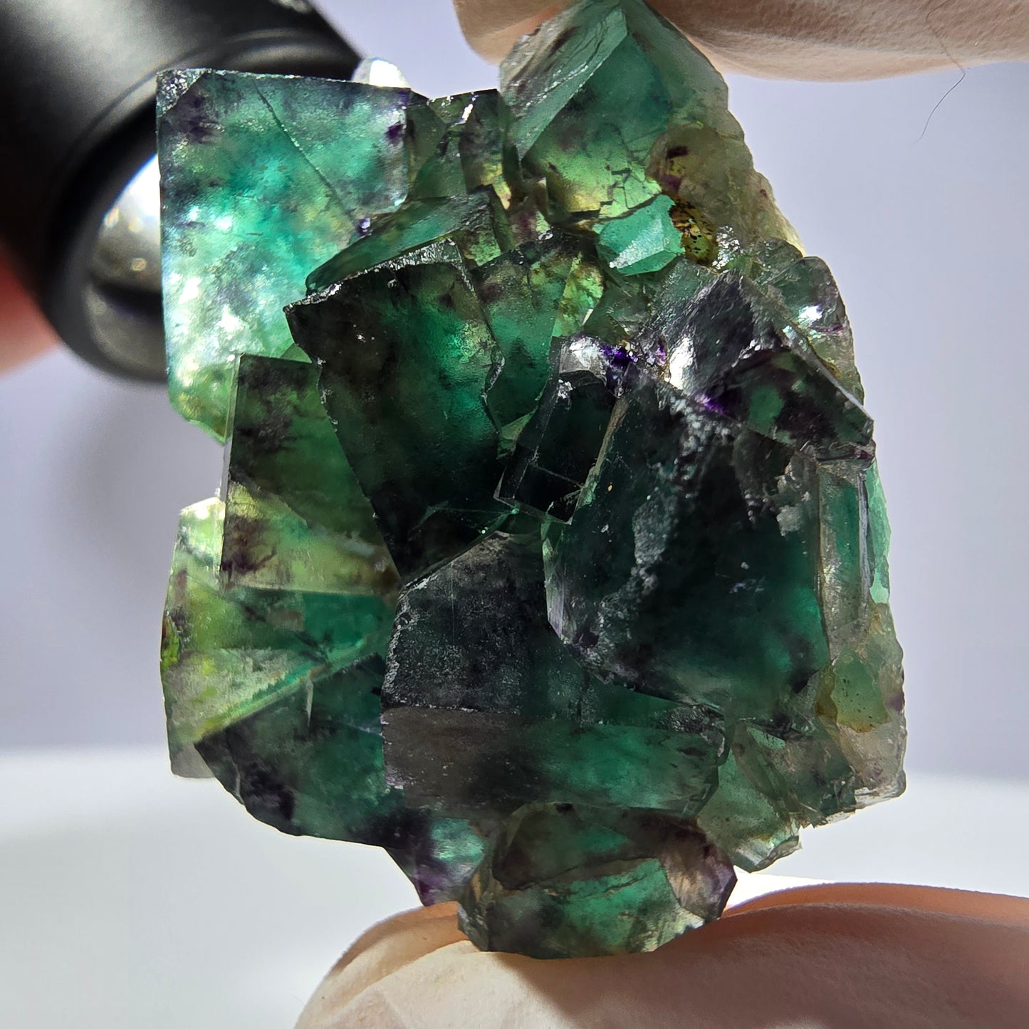 Spécimen de cube de fluorite fantôme parqueté vert violet Okorusu, Namibie 42*33*14 mm