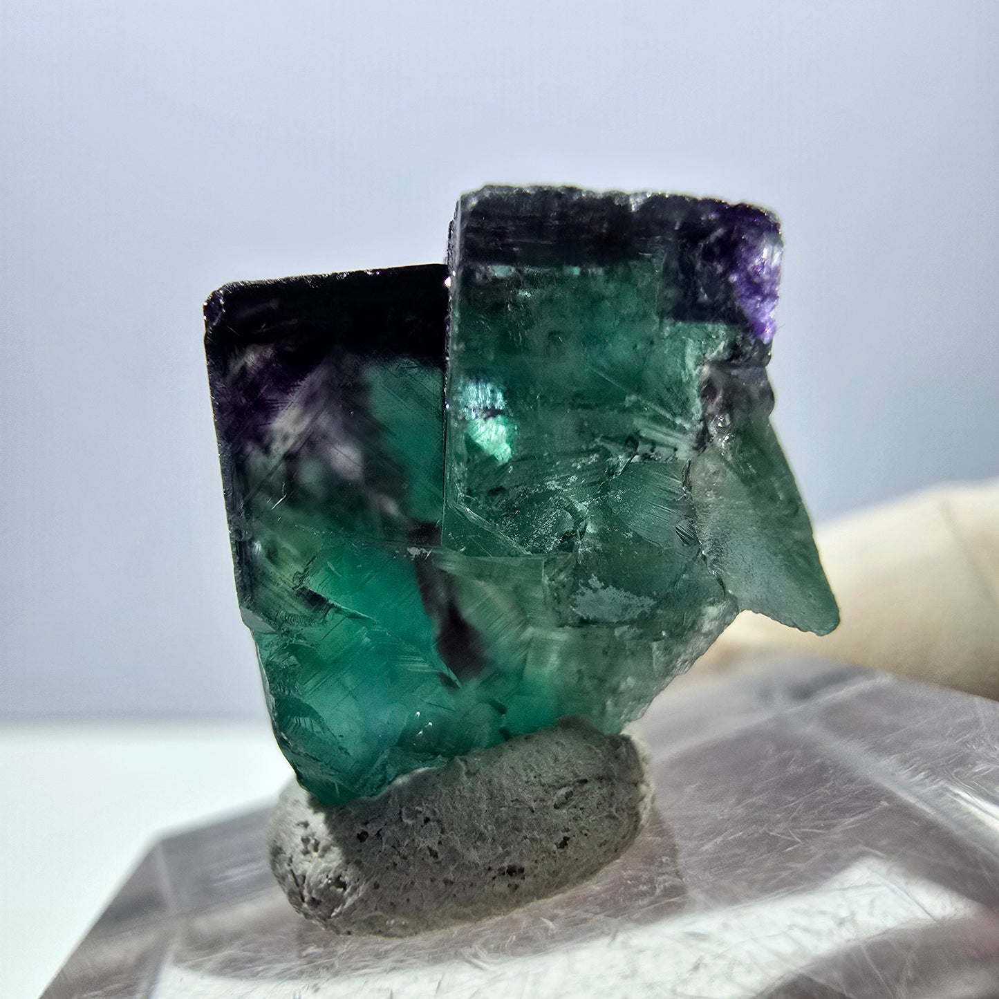 Spécimen de cube de fluorite fantôme, parqueté vert violet Okorusu, Namibie 25*18*14 mm
