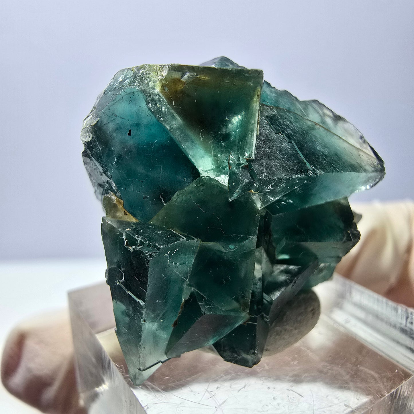 Spécimen de cube de fluorite fantôme, parquet vert Okorusu, Namibie 29*25*15 mm