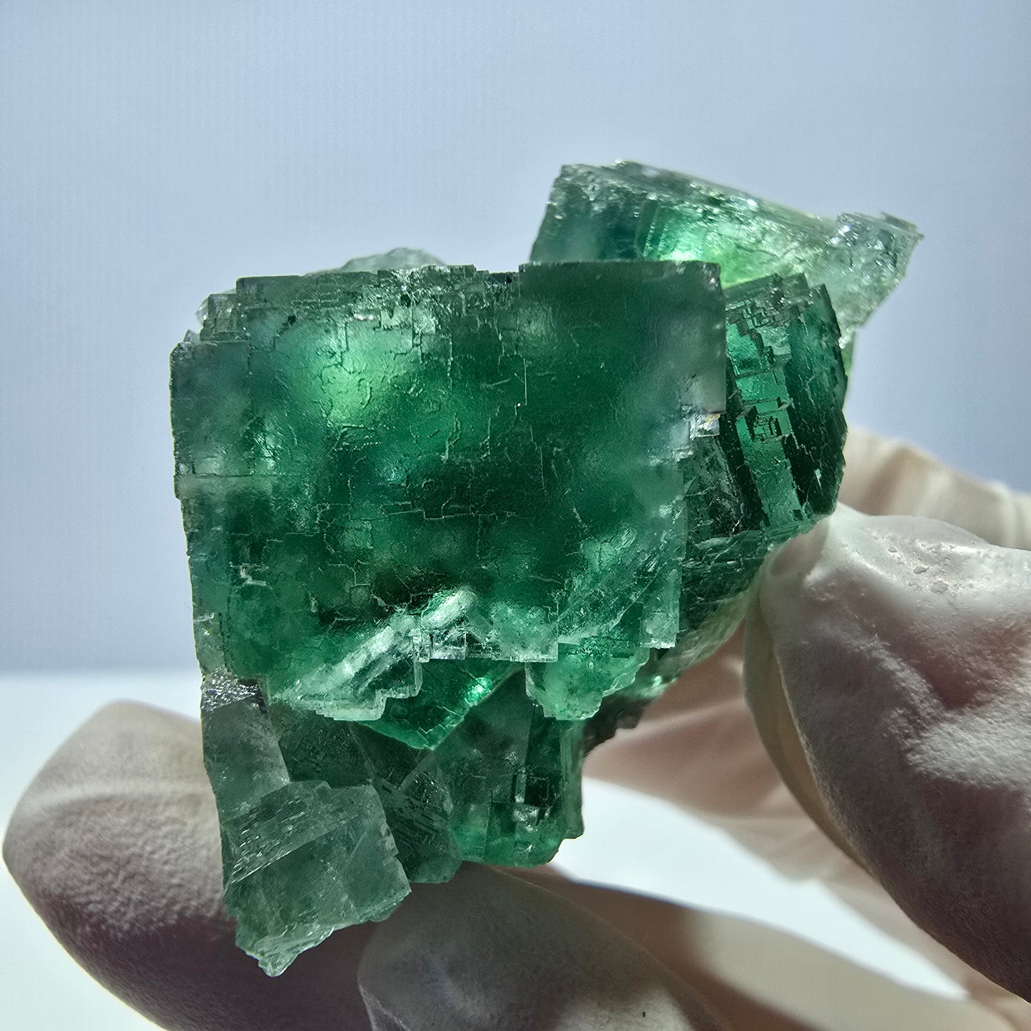 Spécimen de cube de fluorite fantôme transparente, vert parqueté, Okorusu, Namibie, 54 x 33 x 29 mm