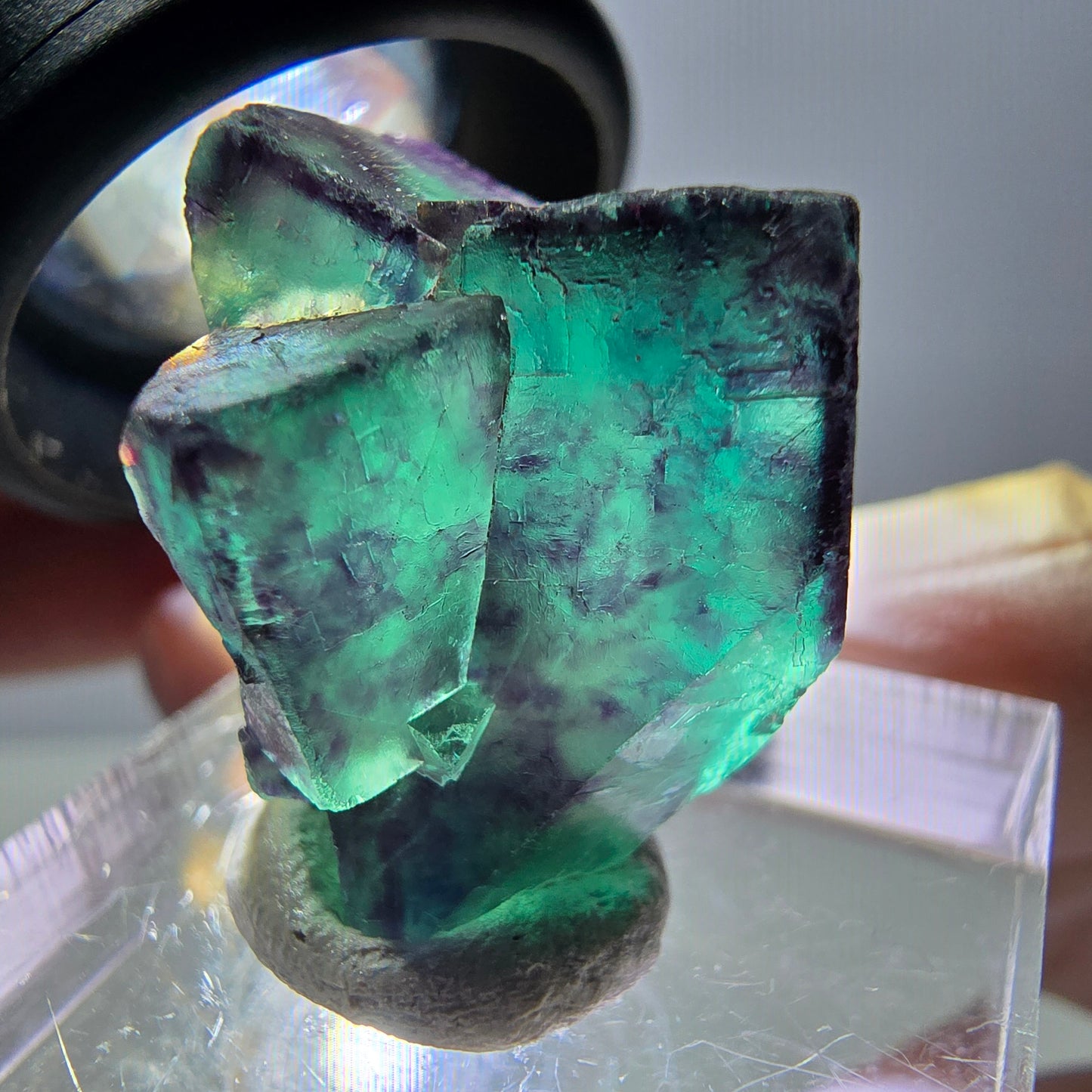 Phantom Fluorit Würfel Stufe, parkettiert grün lila Okorusu, Namibia 25*21*20mm