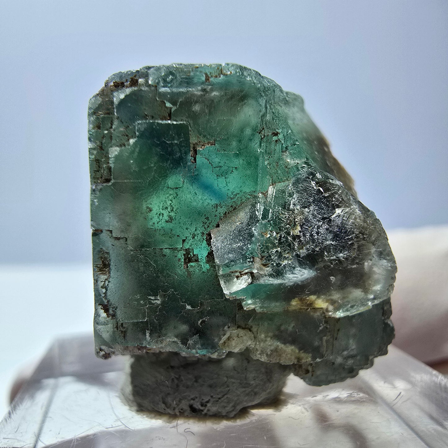 Cube de fluorite fantôme transparente parquetée, vert Okorusu, Namibie 21 x 19 x 19 mm